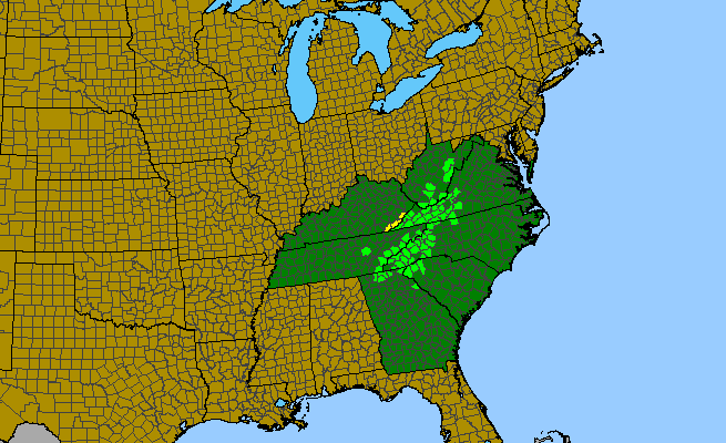 The range of Gentiana decora